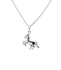 Pferde Collier – Für echte Pferdeliebhaber 🐎